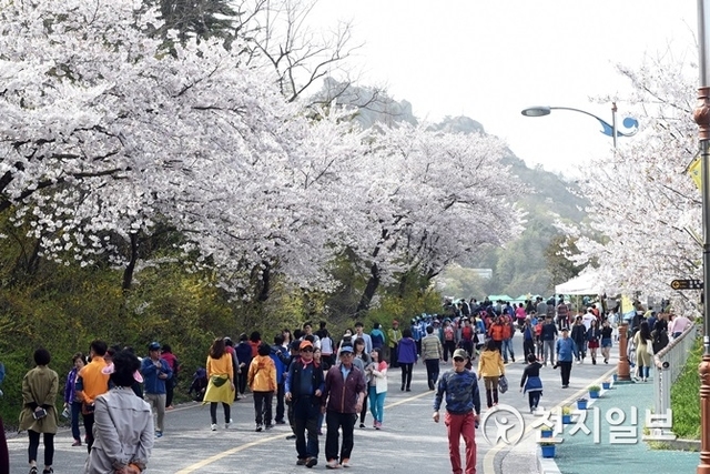 목포 유달산에서는 오는 20일까지 ‘목포 유달산 봄 축제’가 펼쳐진다. (제공: 목포시) ⓒ천지일보 2019.4.10