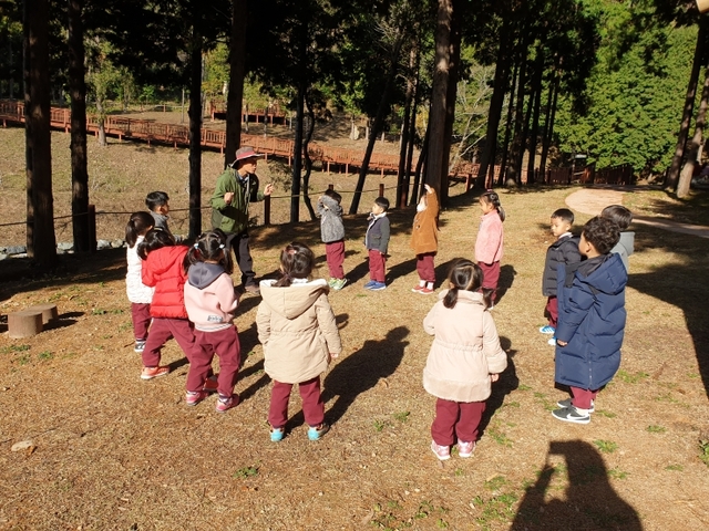 진도군이 운영하는 ‘유아 숲 체험 프로그램’에 아이들이 편백 숲을 체험하고 있다. (제공:진도군) ⓒ천지일보 2019.4.10