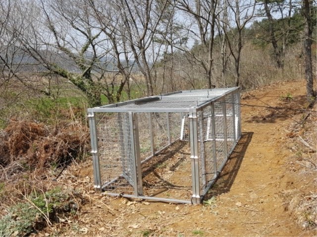 멧돼지 포획 틀을 설치한 모습. (제공:장흥군) ⓒ천지일보 2019.4.11