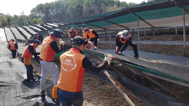 KGC인삼공사 직원들이 폭설피해  지역에 방문해 복구 작업을 돕고 있다. (제공: KGC인삼공사) ⓒ천지일보 2019.4.17