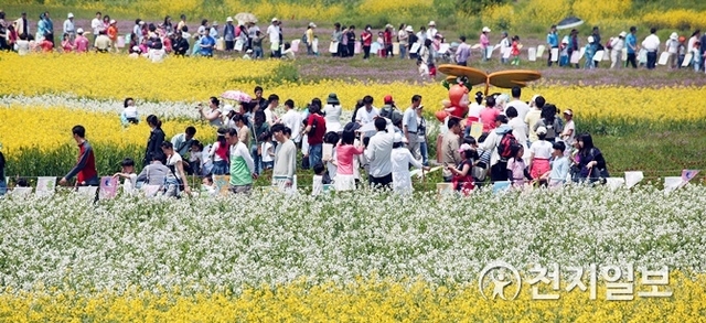 함평나비대축제장에 다양한 꽃들이 만개한 가운데 관람객들이 축제장을 둘러보고 있다. (제공: 함평군) ⓒ천지일보 2019.4.19