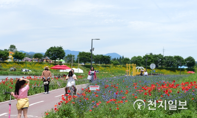 지난해 장성 ‘황룡강 노랑꽃잔치’를 찾은 관람객들이 꽃강을 따라 걷고 있다. (제공: 장성군) ⓒ천지일보 2019.4.22