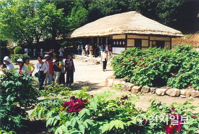 전남 강진군 강진읍 영랑생가를 찾은 관광객들이 생가를 둘러보며 모란꽃을 보고 있다. (제공: 강진군) ⓒ천지일보 2019.4.26