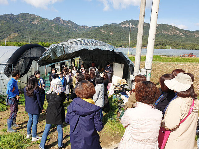 서울친환경유통센터가 서울시 학교급식 영양교사 30여명을 대상으로 ‘친환경 농산물 산지 체험’을 진행하고 있다. (제공: 서울시농수산식품공사)