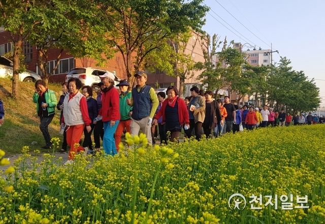 천안시 원성2동이 9일 원성천 산책로(원성교~중앙교 일원)에서 유채꽃길 걷기 및 영화상영 행사를 개최했다. (제공: 천안시) ⓒ천지일보 2019.5.10