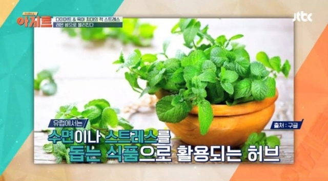 레몬밤 (출처: JTBC)