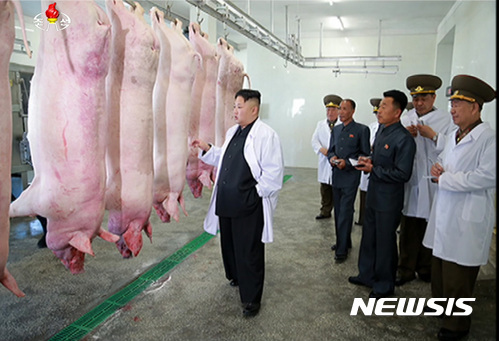 김정은 북한 국무위원장이 조선인민군 항공 및 반항공군 돼지공장을 시찰하는 모습. (출처: 뉴시스)