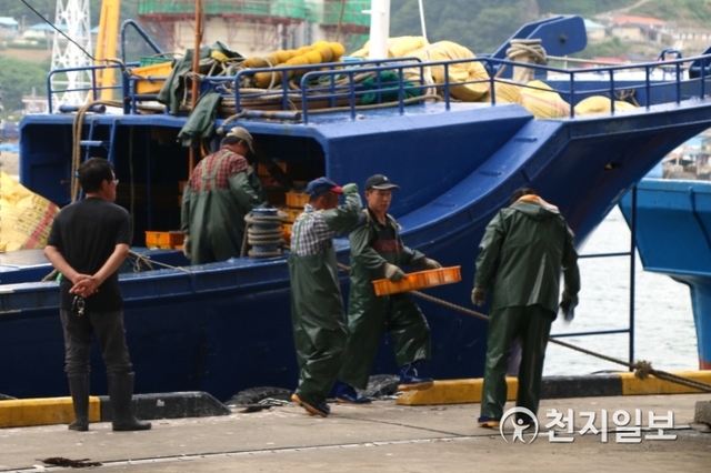[천지일보=홍수영 기자] 북한 선원 4명이 탄 어선이 지난 15일 강원도 삼척시 삼척항에 정박하는 일이 발생했다. 주민의 신고로 해당 어선은 예인됐으며, 우리 군은 경계망이 뚫렸다는 지적을 받았다. 사진은 21일 촬영한 북한 어선이 정박했던 삼척항 부두에서 어민들이 바다에서 잡은 해산물을 배에서 내리고 있는 모습. ⓒ천지일보 2019.6.21