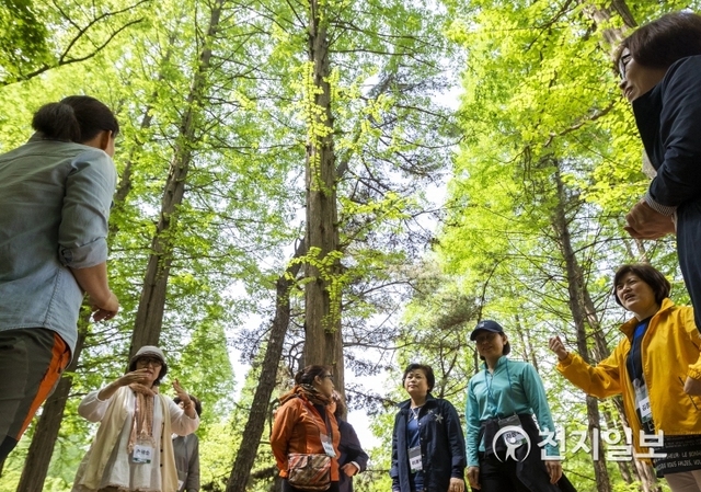 현재 운영중인 인천대공원 치유의 숲을 이용하고 있는 시민들. (제공: 인천시) ⓒ천지일보 2019.7.16