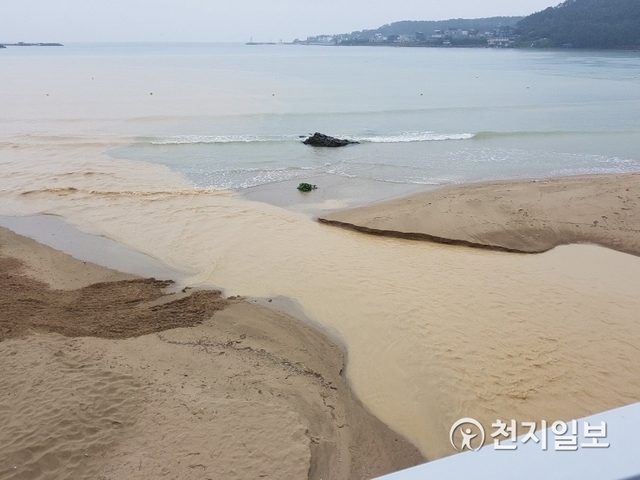 흙탕물이 바다로 흘러 들어가는 모습. (제공: 기장군) ⓒ천지일보 2019.7.18