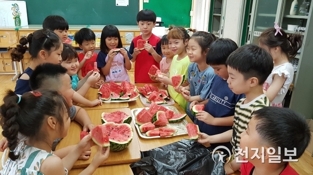 광주중앙초등학교 학생들이 서로 수박을 나누고 있다. (제공: 광주시교육청) ⓒ천지일보 2019.8.1