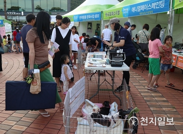전남 순천시가 제7회 동물영화제 기간 동안 ‘반려동물 문화 한마당’ 행사를 오는 23일부터 25일까지 문화의 거리에서 개최한다. (제공: 순천시) ⓒ천지일보 2019.8.20