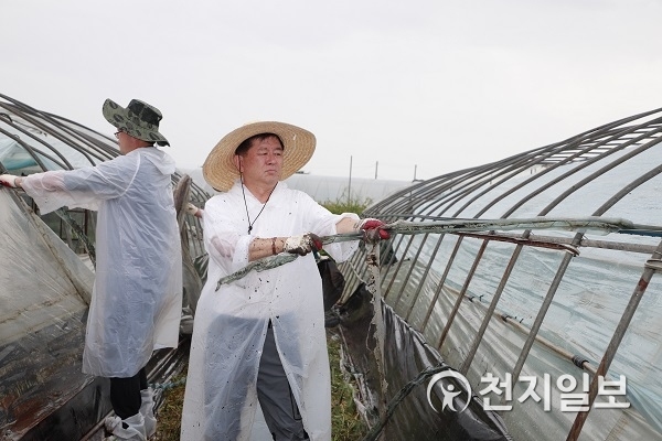 9일 전북 익산 용안면에서 소성모 농협상호금융 대표이사가 비닐하우스가 파손된 농가를 찾아 복구 작업을 하고 있다. (제공: 농협상호금융) ⓒ천지일보 2019.9.9