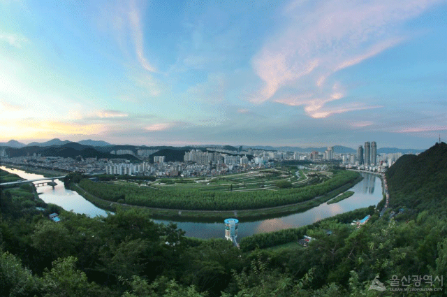 울산 태화강 전경. (제공: 울산시) ⓒ천지일보 2019.9.18