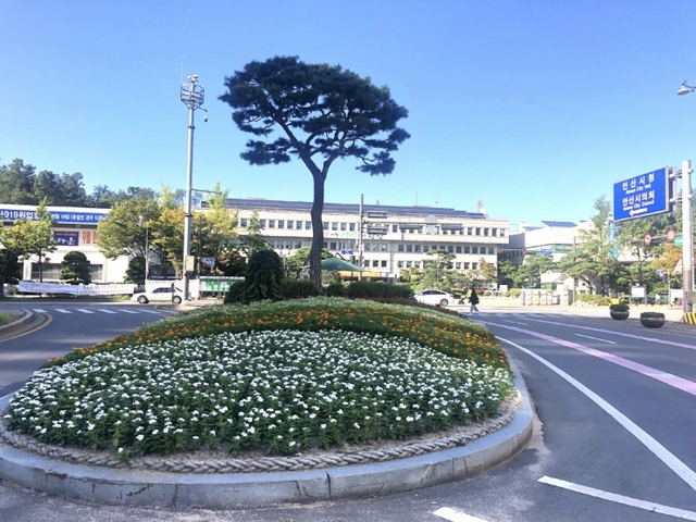 113. 꽃과 함께 가을정취 짙어가는 안산(안산시청 앞) ⓒ천지일보 2019.9.23