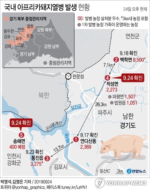 국내 아프리카돼지열병 발생 현황(출처: 연합뉴스)