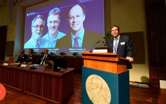 스웨덴 스톡홀름에서 7일(현지시간) 노벨생리의학상 수상자가 발표되고 있다. 왼쪽부터 서멘자, 랫클리프, 캐얼린 교수(출처: 뉴시스)
