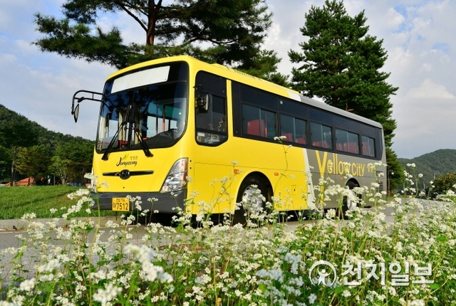 ‘옐로우시티 장성’ 이미지로 디자인 된 농촌버스. (제공: 장성군) ⓒ천지일보 2019.10.20