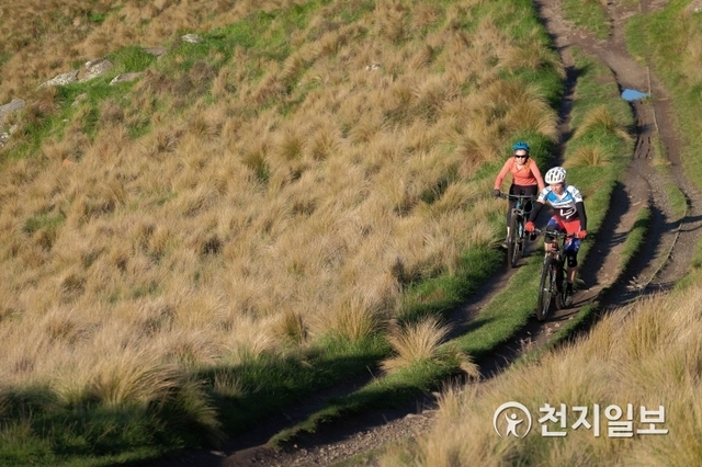 자전거 타기가 일상화된 뉴질랜드 (출처: 게티이지뱅크) ⓒ천지일보 2019.11.8