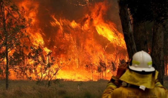 호주 최악의 가뭄으로 산불 확산, 2명 사망 7명 실종(출처: BBC캡처)
