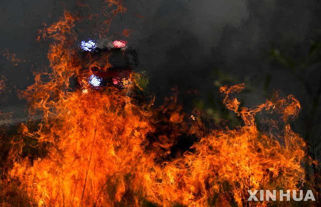 11일(현지시간) 호주 뉴사우스웨일스 타리 인근 화재 현장에서 소방관들이 산불을 진화하면서 화염과 싸우고 있다(출처: 뉴시스)