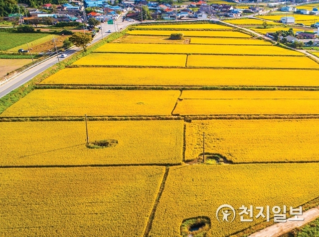 하늘에서 본 ‘둠벙’ 모습. (제공: 경남도) ⓒ천지일보 2019.11.22