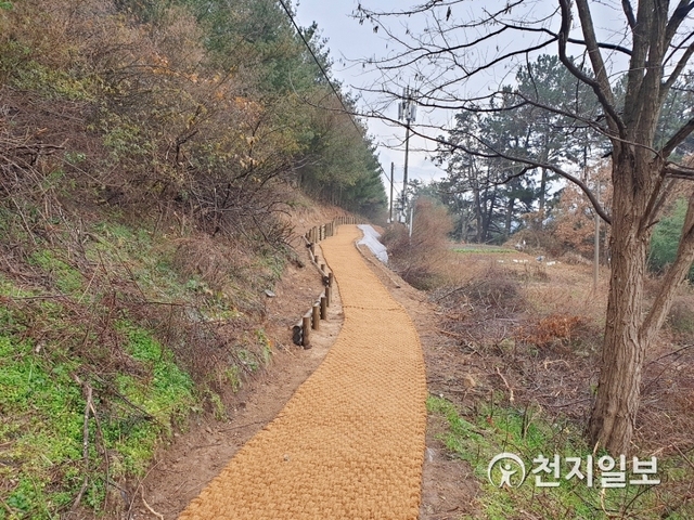 완료된 정읍시 내장상동 왕솔밭 산책로. (제공: 정읍시) ⓒ천지일보 2019.12.26