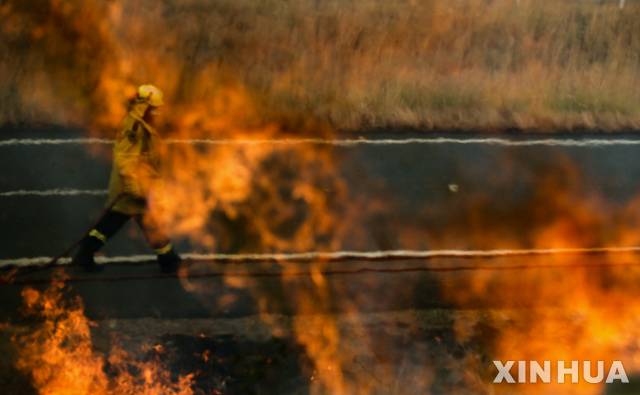 11일(현지시간) 호주 뉴사우스웨일스 타리 인근 화재 현장에서 한 소방관이 산불을 진화하면서 화염과 싸우고 있다(출처: 뉴시스)