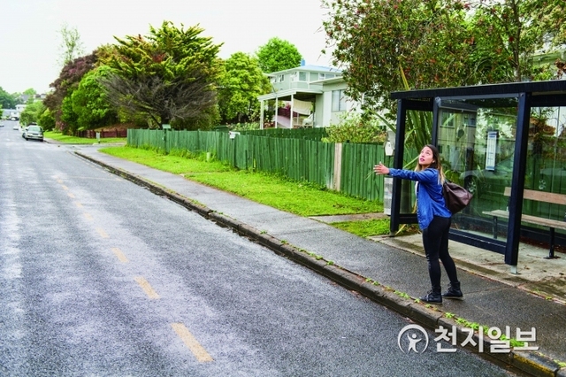 뉴질랜드에서는 타야 할 버스가 오면 정류장에 서 있다고 할지라도 손을 크게 흔들어 버스를 탈 것을 알려야 한다. (출처: 게티이미지뱅크) ⓒ천지일보 2020.1.23
