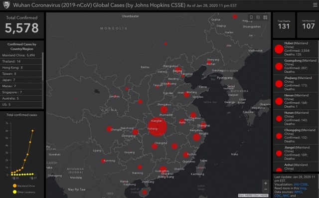 (출처: Wuhan Coronavirus (2019-nCoV) Global Cases)