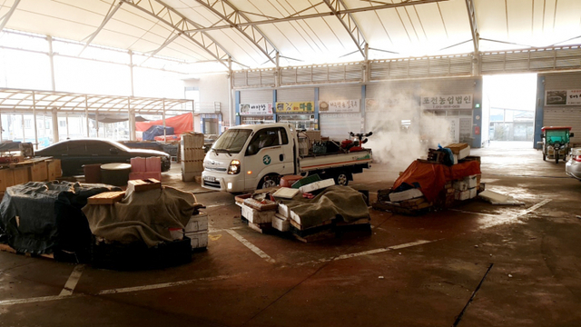 진도군이 진도읍 조금시장에서 코로나19 예방을 위해 방역을 하고 있다. (제공: 진도군) ⓒ천지일보 2020.2.21
