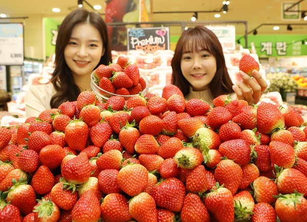 롯데마트 ‘딸기’ (제공: 롯데쇼핑) ⓒ천지일보 2020.2.25