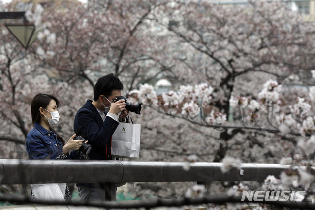지난 27일 일본 도쿄의 한 다리 위에서 마스크를 쓴 남녀가  벚꽃을 찍고 있다. (출처: 뉴시스)