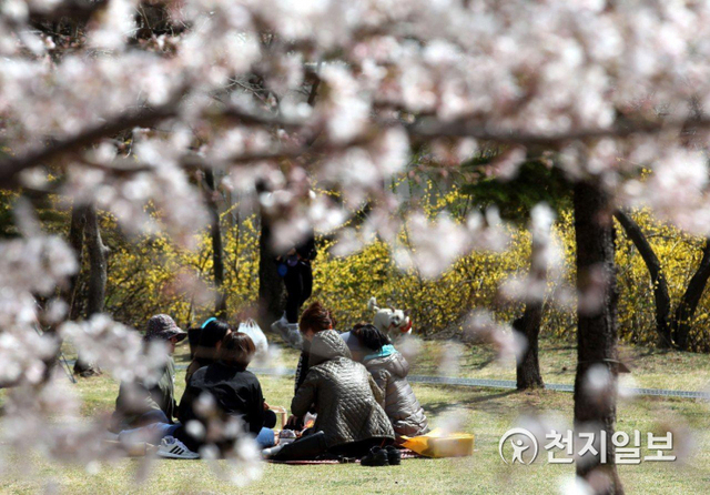 [천지일보=남승우 기자] 신종 코로나바이러스 감염증(코로나19) 여파에도 불구하고 28일 오후 벚꽃이 핀 서울 동작구 보라매공원에서 나들이객들이 봄의 정취를 만끽하고 있다. ⓒ천지일보 2020.3.28