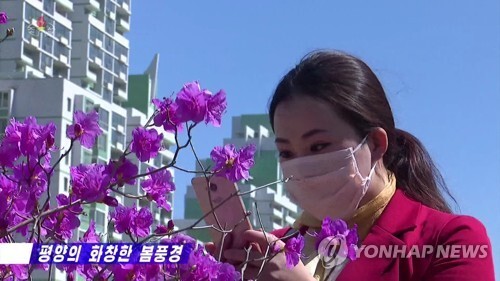 북한 조선중앙TV는 봄을 맞이한 수도 평양 거리를 주민들이 즐기고 있다고 5일 보도했다. 마스크를 착용한 여성이 스마트폰 카메라로 봄꽃을 촬영하고 있다. 여성 뒤로 고층 건물들이 즐비하다. 2020.4.5 (출처: 연합뉴스, 조선중앙TV 캡처)