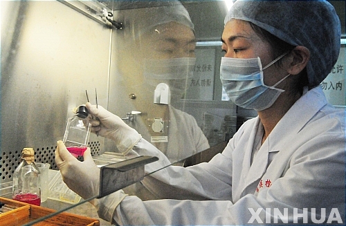지난 2009년 5월 5일 중국 후베이성 이창시의 한 연구소에서 신종플루(H1N1) 바이러스 모의실험을 하는 동안 연구원이 바이러스를 정밀 검사 하고 있다. (출처: 뉴시스)