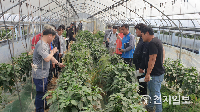 천안시농업기술센터가 천적 이용 방법을 교육하고 있다. (제공: 천안시) ⓒ천지일보 2020.5.20
