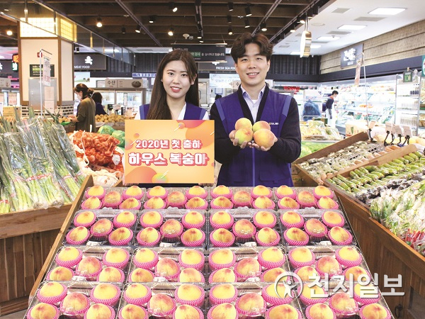 농협 하나로유통이 21일 충북 영동지역에서 올해 첫 출하된 하우스 복숭아를 판매하고 있다. (제공: 농협 하나로유통) ⓒ천지일보 2020.5.21