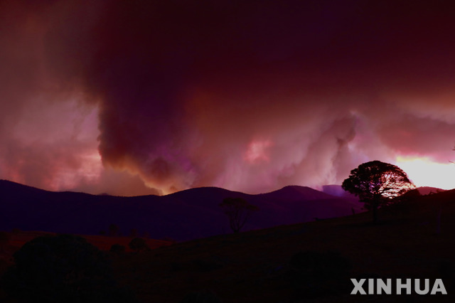 최근 호주 캔버라에서 발생한 산불로 나마지 국립공원 상공이 붉게 물들어 있다(출처: 뉴시스)