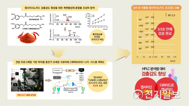 김치 매운맛 성분 고감도 동시 분석 연구결과 그림. (제공: 세계김치연구소) ⓒ천지일보 2020.5.27