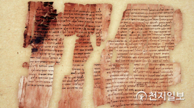사해 연안 쿰란지역에서 1947~1956년에 발견된 현존하는 가장 오래된 성경사본인 사해사본이다. BC 150년경의 것이다. ⓒ천지일보DB