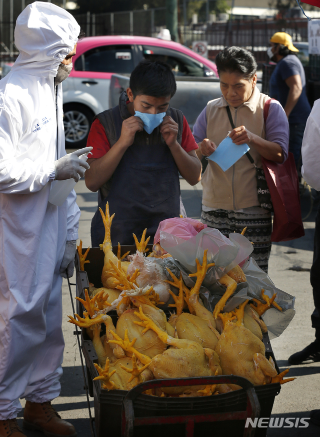 멕시코 수도 멕시코시티 이즈타팔라파 종합병원 인근 거리시장에서 코로나19 예방을 위해 보호장구를 착용한 한 보건 관계자가 수레에 닭을 가득 실은 닭 장수와 손님으로 보이는 여성에게 마스크를 나눠주고 있다(출처: 뉴시스)