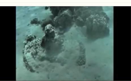 홍해 아카바만의 누웨이바 반대쪽 사우디아라비다쪽 해저에서 발견된 수레바퀴들. 이는 애굽 군대가 홍해 도하지점에서 거의 끝까지 쫓아왔었다는 확실한 증거가 된다. 해당 수중동영상 화면 캡쳐.