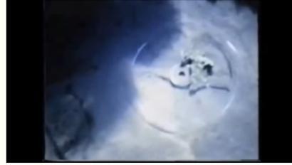 모세의 기적이 일어난 홍해 아카바만의 누웨이바 해저에서 확인된 수레바퀴 금장식. 해당 수중동영상 화면 캡쳐.