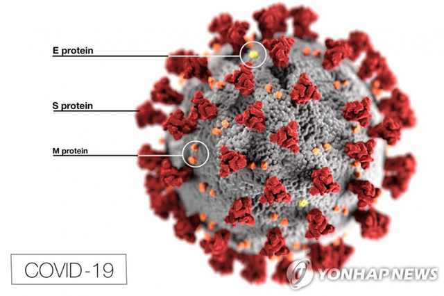 신종 코로나바이러스(코로나19). (출처: 연합뉴스)