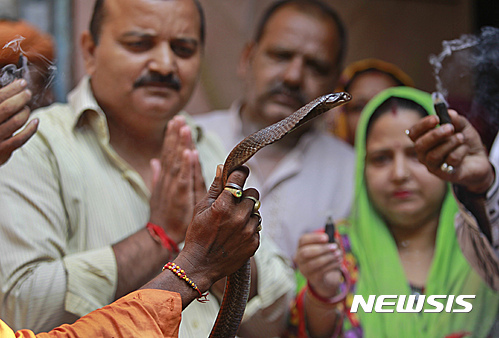 인도 카슈미르 지방에서 작년 9월 6일 힌두 교도들이 종교 축제 중 향을 피우며 뱀에게 기도하고 있다. 이 나그 판차미 축제는 뱀 숭배가 초점이다. (출처: 뉴시스)