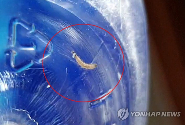 15일 인천시 계양구 병방동 한 주택에서 발견된 유충이 물병에 담겨 있다. (출처: 연합뉴스)