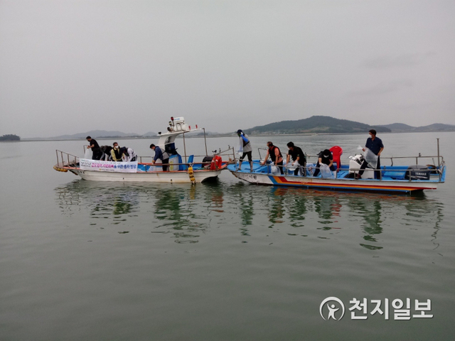 어린 갑오징어 방류하는 모습. (제공: 전남도청) ⓒ천지일보 2020.7.20