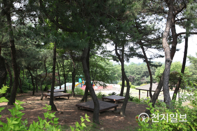 태학산자연휴양림. (제공: 천안시) ⓒ천지일보 2020.7.21