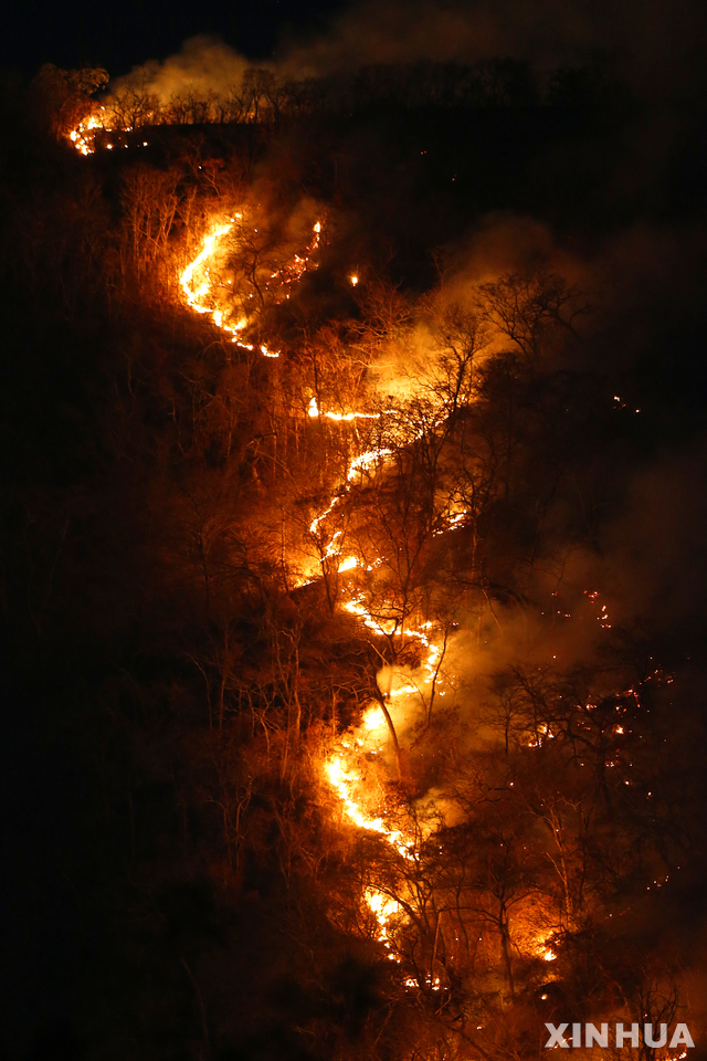 지난해 8월17일 브라질 토간틴스주 아마존 열대우림에서 화재가 발생했다. 사진은 맹렬한 기세로 열대우림을 태우고 있는 불길. (출처: 뉴시스)